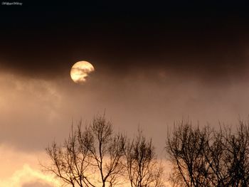 Ominous Evening, Nashville, Tennessee screenshot