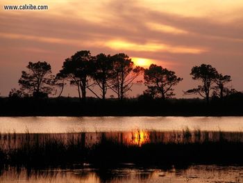 Outer Banks Roanoke Sound North Carolina screenshot