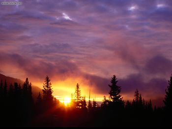 Part The Skies San Isabel National Forest Colorado screenshot