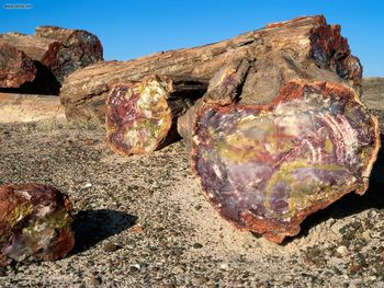 Petrified Forest National Park Arizona screenshot