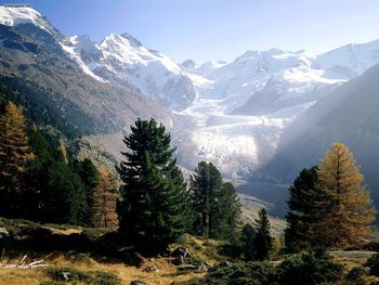 Piz Bernina Moteratsch Glacier Engadine Switzerland screenshot