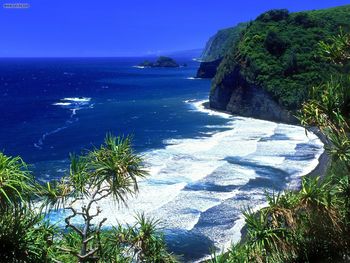 Pololu Valley Beach Hawaii screenshot