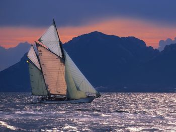 Regates Royales Yacht Competition, Canne