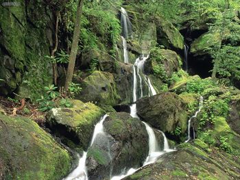 Roaring Fork Smoky Mountains Tennessee screenshot