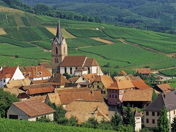 Rodern, Haut Rhin, Alsace, France screenshot