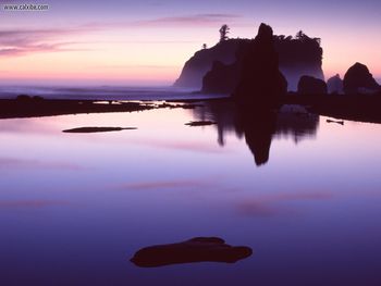 Ruby Beach Olympic National Park Washington screenshot