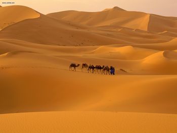 Sahara Desert Morocco screenshot