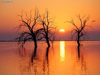 Salton Sea State Recreation Area California screenshot