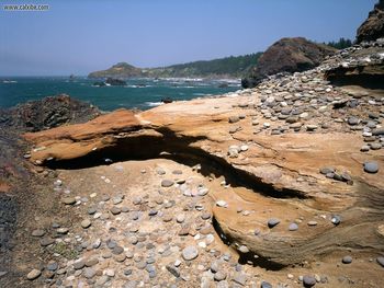 Sandstone Erosion Otter Point State Wayside Oregon screenshot