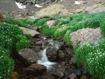 Sangre De Cristo Mountains Colorado screenshot