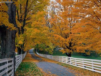 Scenic Backroad New Hampshire screenshot