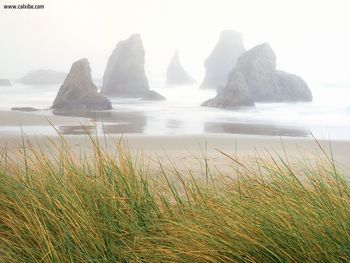 Seastacks In Fog Bandon Oregon screenshot