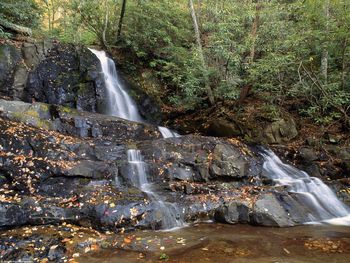 Smoky Mountains National Park, Tennessee screenshot