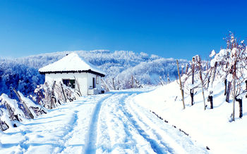 Snowy Cottage screenshot