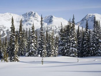 Spearhead Range, Whistler, British Columbia, Canada screenshot