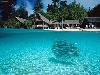 Split View Of Sipida Island Borneo screenshot