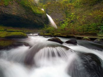 Spring In The Columbia Gorge, Oregon screenshot