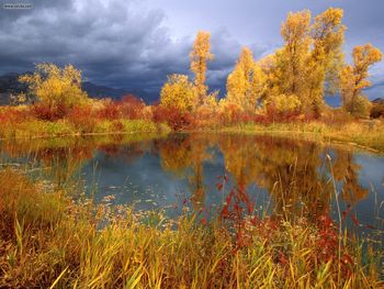 Storm Clouds Over Peggys Pond Jackson Hole Wyoming screenshot