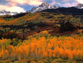 Sunrise Light On Mount Sneffels Uncompahgre National Forest Colorado screenshot