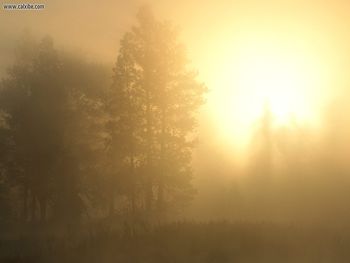 Sunrise Through The Sapphire Mountains Montana screenshot