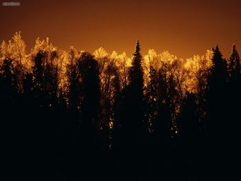 Sunset On The Kenai Riverbank Soldotna Alaska screenshot