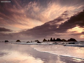 Sunset Splash Seal Rock Oregon screenshot