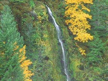 Terwilliger Hot Springs Fall Oregon screenshot