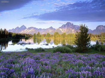 Teton Range In Spring Wyoming screenshot