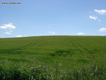 The Sound Of Music Meadow screenshot