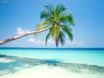 Tropical Island Maldives screenshot