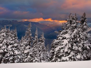 Valley From Tatoosh, Washington screenshot