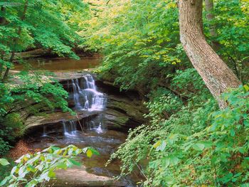 Waterfall In Starved Rock State Park Illinois screenshot