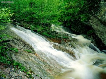 Wilson Creek Pisgah National Forest North Carolina screenshot