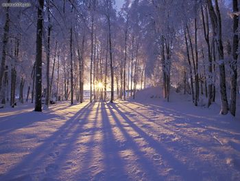 Winter Sunset, Alaska screenshot