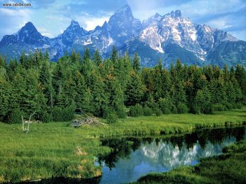 Wyoming Grand Teton National Park screenshot