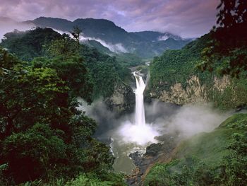 Yasuni National Park screenshot