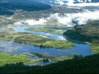 Yellowstone River In Hayden Valley Yellowstone National Park screenshot